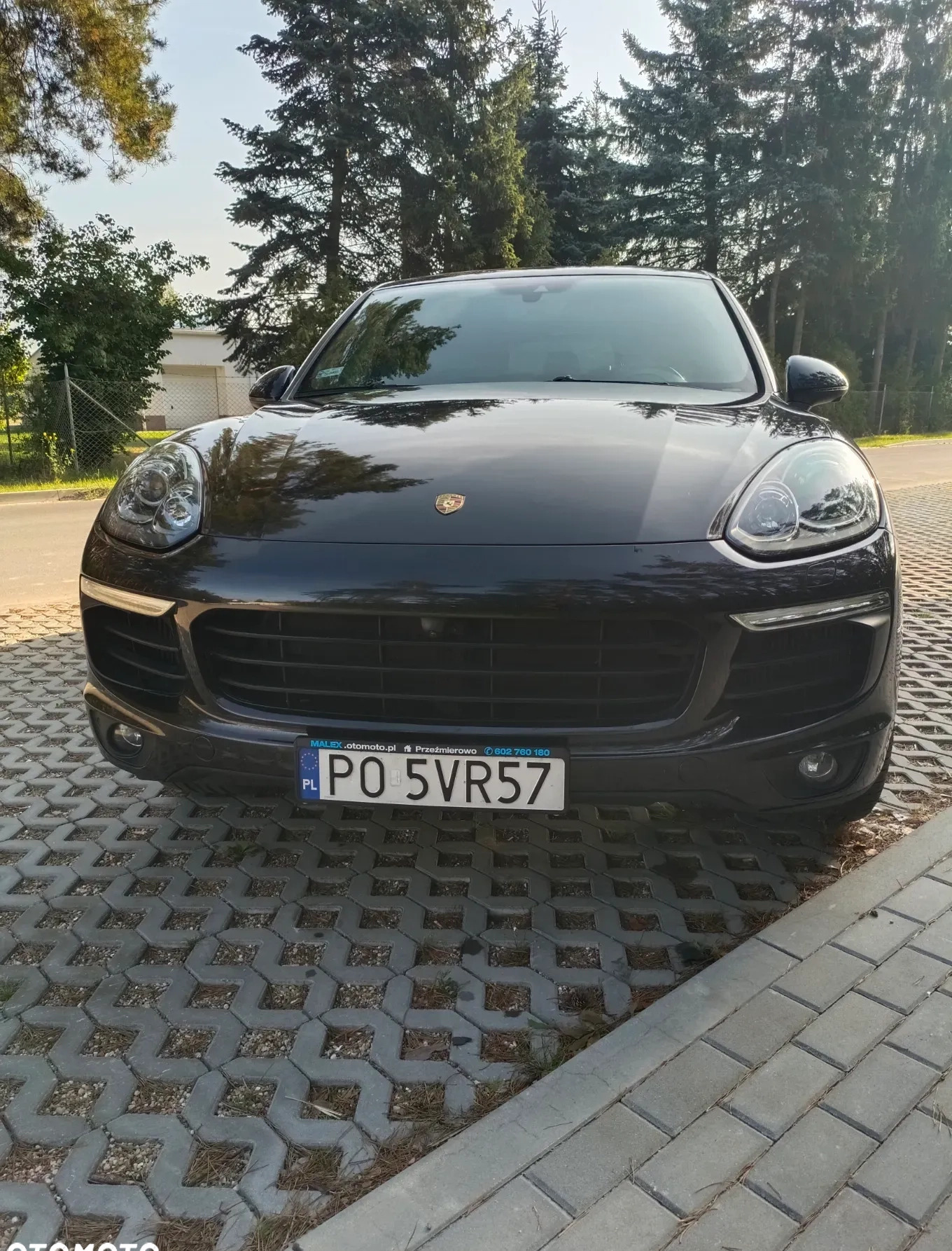 Porsche Cayenne cena 190000 przebieg: 58655, rok produkcji 2017 z Piotrków Kujawski małe 352